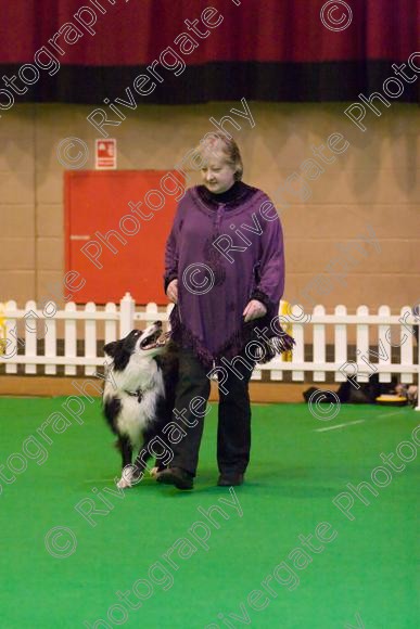 IMG 8479 
 Heelwork to Music and Canine Freestyle Competitions held at Westglen in April 2008 
 Keywords: 2008, Bilford Road, Perdiswell Leisure Centre, WR3 8DX, Worcester, april, competition, heelwork to music, westglen, barbara whittaker