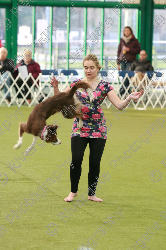 AWC 0285 
 Keywords: Nicci Hindson, heelwork to music competition, rugby dog club