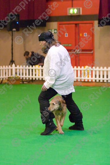 IMG 8671 
 Heelwork to Music and Canine Freestyle Competitions held at Westglen in April 2008 
 Keywords: 2008, Bilford Road, Perdiswell Leisure Centre, WR3 8DX, Worcester, april, competition, heelwork to music, westglen, hannah crook, advanced, htm