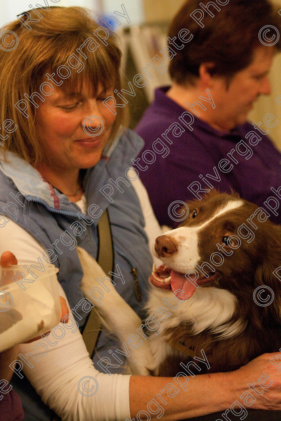 AWC 2208 
 Keywords: 2010, april, competition, heelwork to music, novice heelwork to music part 1, west glen