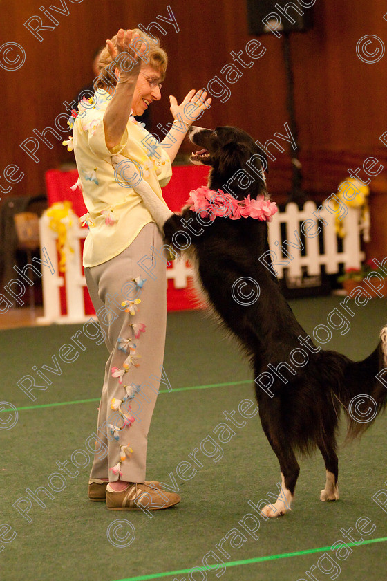 AWC 2817 
 Keywords: 2010, Dawn Smith, Intermediate Freestyle Part 2, april, heelwork to music, westglen