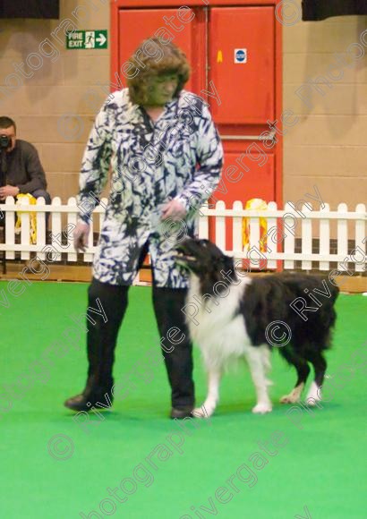 IMG 8513 
 Heelwork to Music and Canine Freestyle Competitions held at Westglen in April 2008 
 Keywords: 2008, Bilford Road, Perdiswell Leisure Centre, WR3 8DX, Worcester, april, competition, heelwork to music, westglen, paula ackary