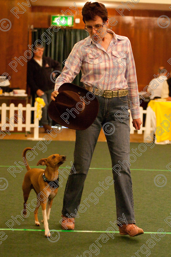 AWC 2708 
 Keywords: 2010, Intermediate Freestyle, april, heelwork to music, valerie perkins, westglen