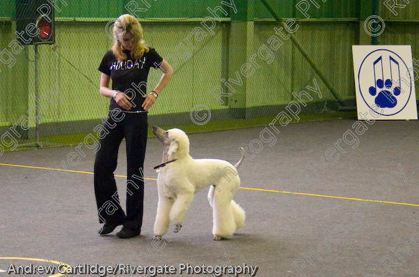 IMG 0131 
 Heelwork to Music and Canine Freestyle events and competition in 2005 held at the Connexion Leisure Centre, Ryton-on-Dunsmore, Coventry. 
 Keywords: 2005, June, UK, competition, coventry, dog, dog dancing, dog sport, heelwork to music, k9freestyle, ryton on dunsmore