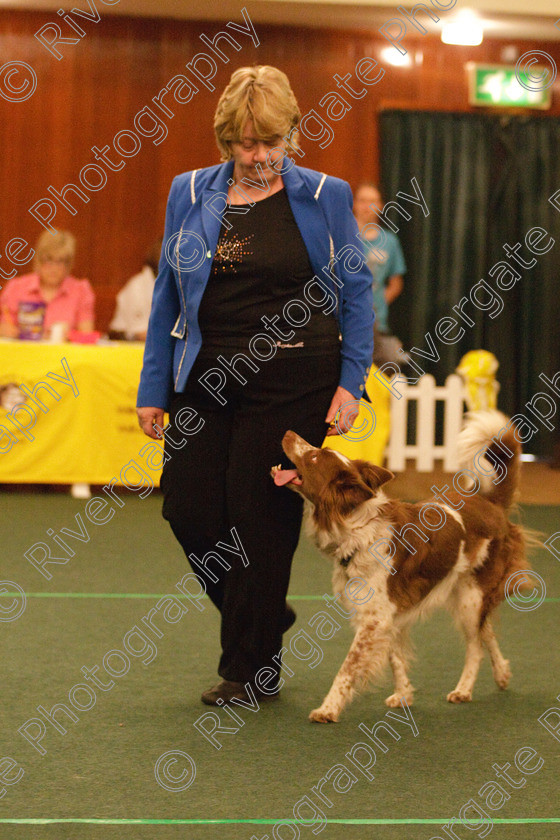 AWC 2031 
 Keywords: 2010, april, competition, heelwork to music, intermediate heelwork to music part 1, pat parsons, westglen