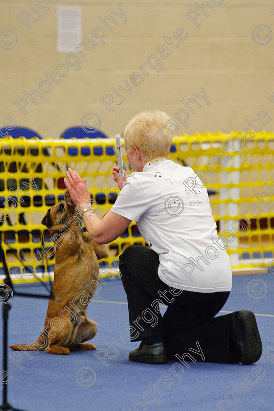 AWC 6317 
 Keywords: 2009, Anita Hartland, Ann Mavin, Barnard Castle, Border Terrier, County Durham, DL12 8DS, Foxcraig Minstrel, Judges Jeanette Fyfe, May, Northern Mutts N Music, Royal Canin, Starters Freestyle, Strathmore Road, Teesdale Sports Centre, canine freestyle, competition, heelwork to music, penny draper