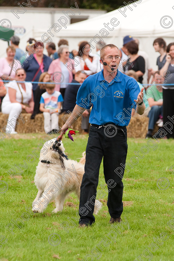 AWC 1349 
 Wanborough Country Show, August 2009, Richard Curtis' K9freestyle Dancing Dog Arena Display 
 Keywords: 2009, arena demonstration, arena display, august, canine freestyle, dog dancing, dog display, England, heelwork to music, k9freestyle, Lynch Field, Lynch Field, Wanborough, Wiltshire, England, UK, richard curtis, UK, wanborough country show, Wanborough, Wiltshire