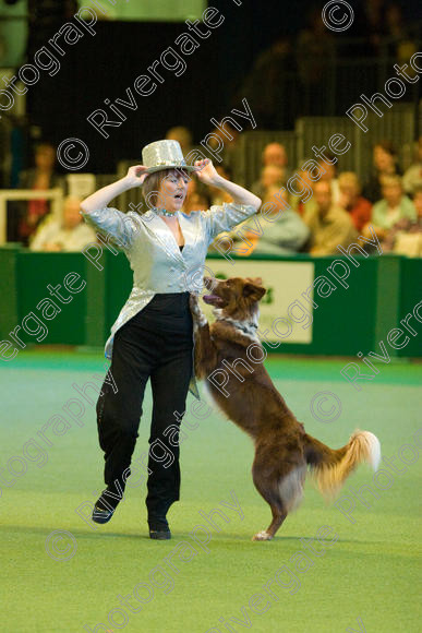 IMG 7553 
 Keywords: 2008, Arena, Display, NEC, birmingham, canine freestyle, crufts, dancing, dogs, heelwork to music, htm, march, performance