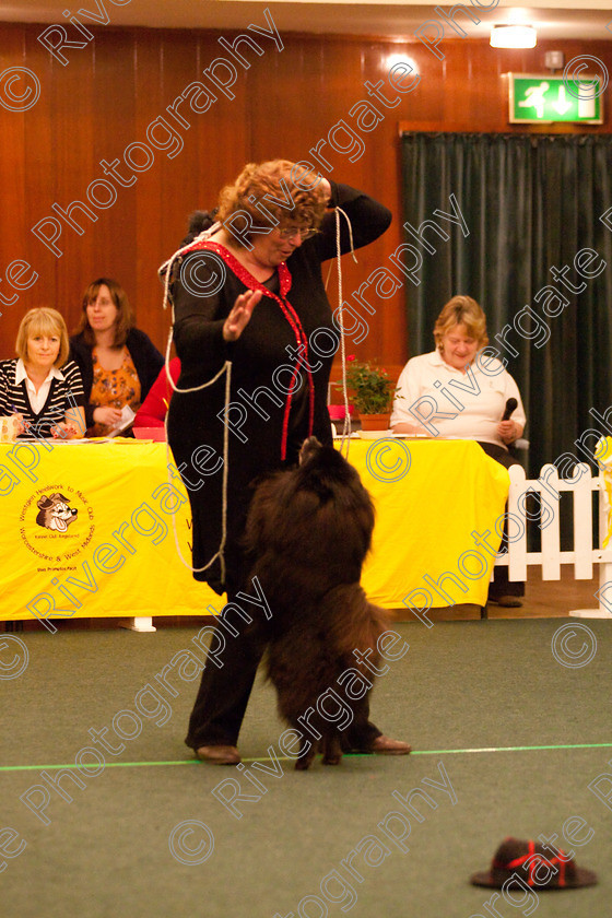 AWC 2789 
 Keywords: 2010, Intermediate Freestyle Part 2, april, carol mortimer, heelwork to music, westglen