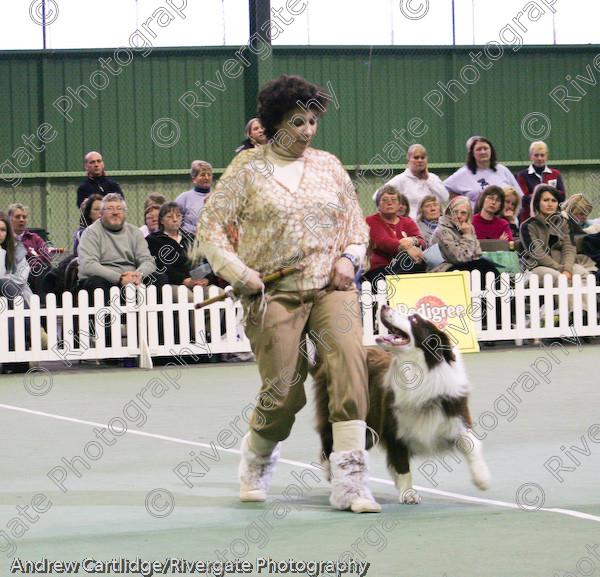 IMG 1142 
 Heelwork to Music and Canine Freestyle events and competition in 2005 held at the Connexion Leisure Centre, Ryton-on-Dunsmore, Coventry. 
 Keywords: 2005, UK, ann de rizzio, competition, coventry, dog, dog dancing, dog sport, february, heelwork to music, k9freestyle, ryton on dunsmore