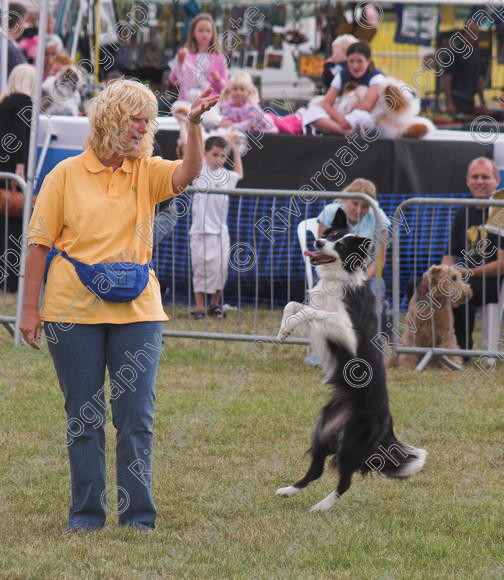 IMG 0197-01 
 Paws in the Park, 2005 MDS Shows Ltd Canford Park Arena, Poole, Dorset.