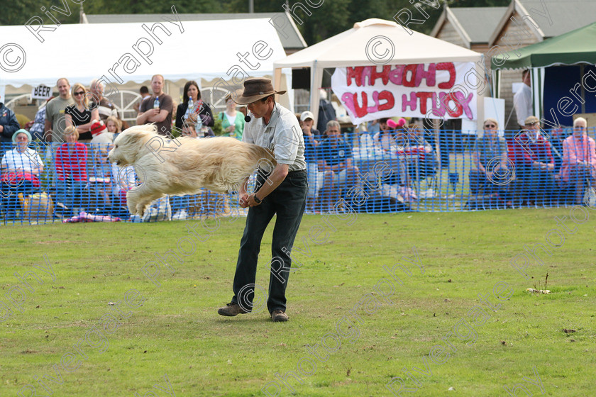 AWC 7008 
 Keywords: 2010, Chobham, Millbrook Animal Centre, RSPCA, Richard Curtis, arena demonstration, september