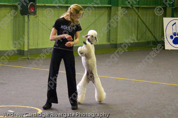 IMG 0130 
 Heelwork to Music and Canine Freestyle events and competition in 2005 held at the Connexion Leisure Centre, Ryton-on-Dunsmore, Coventry. 
 Keywords: 2005, June, UK, competition, coventry, dog, dog dancing, dog sport, heelwork to music, k9freestyle, ryton on dunsmore