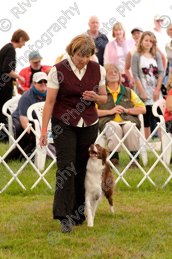 AWC 8117 
 Keywords: 2009, England, June, MDS Ltd, Paws in the Park, UK, broadlands, competition, hampshire, heelwork to music, paws in music, romsey