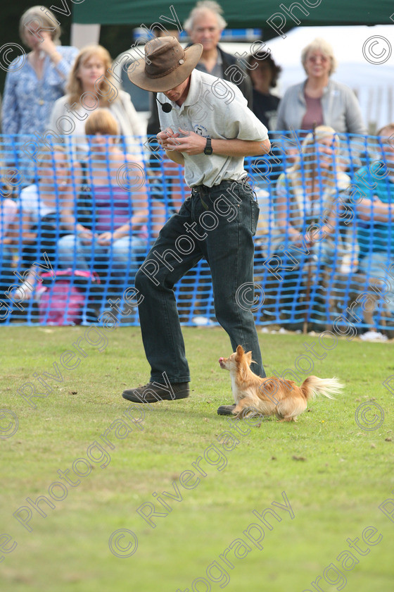 AWC 7054 
 Keywords: 2010, Chobham, Millbrook Animal Centre, RSPCA, Richard Curtis, arena demonstration, september