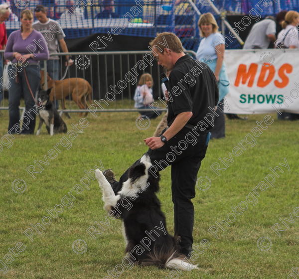 IMG 0191-01 
 Paws in the Park, 2005 MDS Shows Ltd Canford Park Arena, Poole, Dorset.