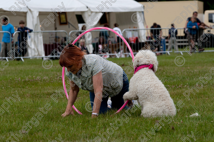 AWC 7892 
 Keywords: 2009, England, June, MDS Ltd, Paws in the Park, UK, broadlands, dog, eileen, hampshire, lilly, romsey, white