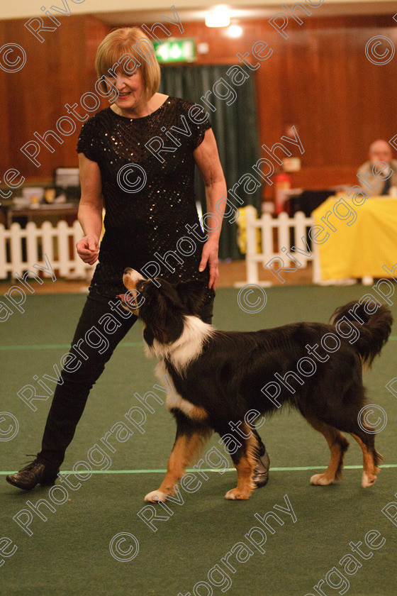 AWC 2013 
 Keywords: 2010, april, competition, heelwork to music, intermediate heelwork to music part 1, mary muxworthy, westglen