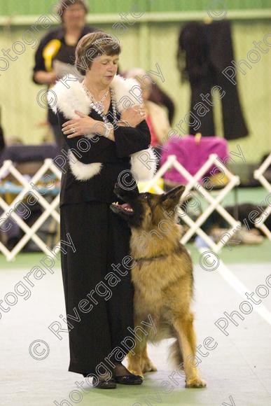 IMG 5974 
 Keywords: 2008, K9 Freestyle, Rugby DTC, canine freestyle, competition, connexions leisure centre, coventry, dancing dogs, february, heelwork to music, , ryton on dunsmore