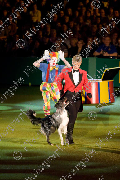 IMG 8202 
 Keywords: 2008, Arena, Display, NEC, birmingham, canine freestyle, crufts, dancing, dogs, heelwork to music, htm, march, performance