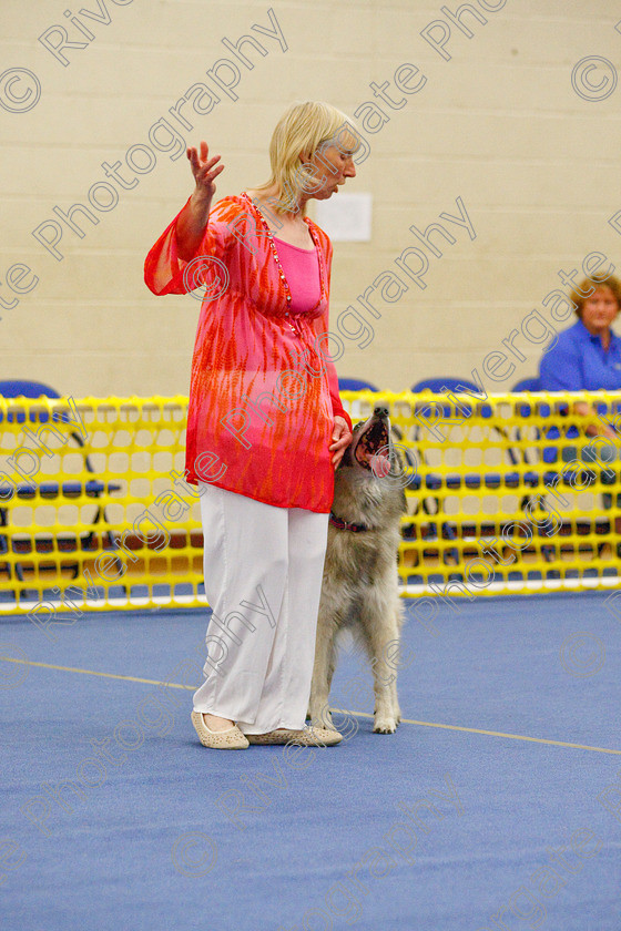 AWC 5936 
 Keywords: 2009, Barnard Castle, Corsini Quinzano, County Durham, DL12 8DS, Intermediate Heelwork to Music, May, Northern Mutts N Music, Royal Canin, Strathmore Road, Teesdale Sports Centre, Tervueren, canine freestyle, competition, heelwork to music, margaret booth