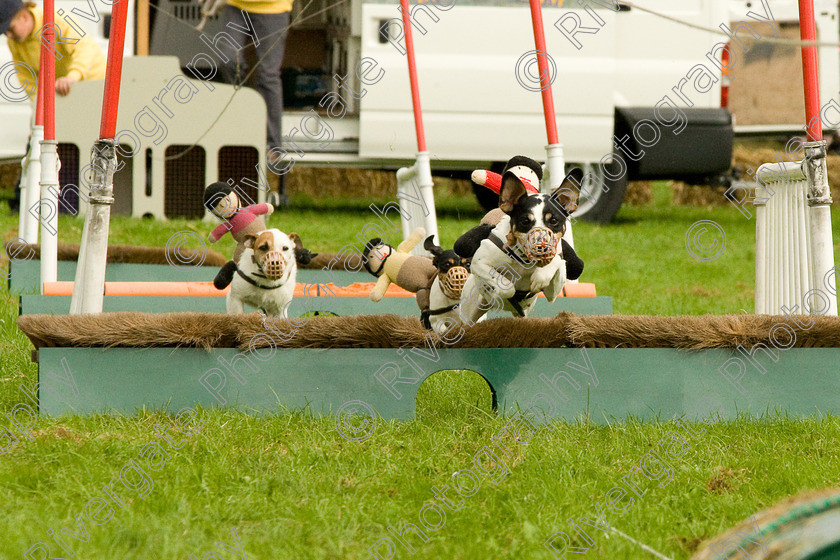 AWC 1835 
 Keywords: England, Lynch Field, UK, Wanborough, Wiltshire, arena demonstration, arena display, cyril the squirrel, terrier racing, wanborough country show