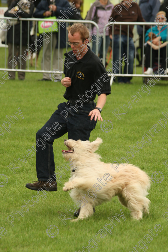 AWC 7263 
 Keywords: 2010, Kent, MDS Shows Ltd, Paws in the Park, Richard Curtis, arena demonstrations, paddock wood, whizzy