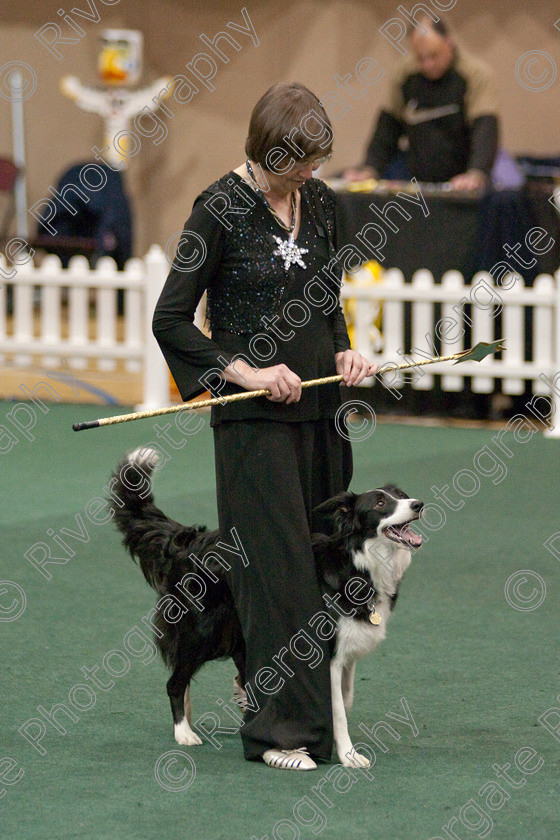 AWC 4051 
 Keywords: 2009, England, UK, Worcester, Worcestershire, april, competition, heelwork to music, sue betteridge, westglen