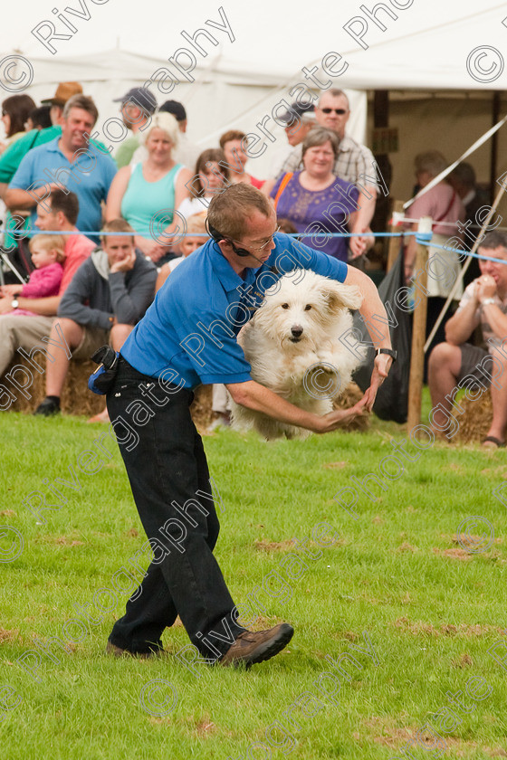 AWC 1375 
 Wanborough Country Show, August 2009, Richard Curtis' K9freestyle Dancing Dog Arena Display 
 Keywords: 2009, arena demonstration, arena display, august, canine freestyle, dog dancing, dog display, England, heelwork to music, k9freestyle, Lynch Field, Lynch Field, Wanborough, Wiltshire, England, UK, richard curtis, UK, wanborough country show, Wanborough, Wiltshire