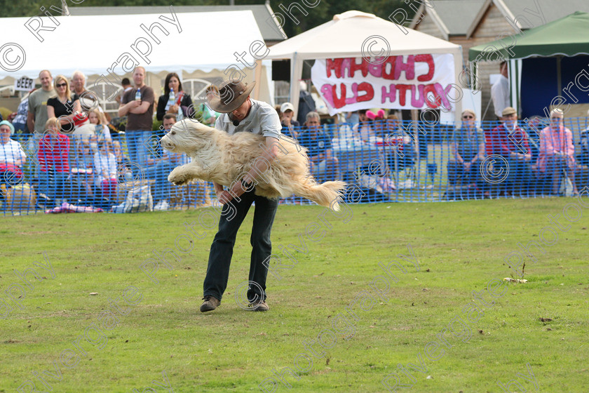 AWC 7007 
 Keywords: 2010, Chobham, Millbrook Animal Centre, RSPCA, Richard Curtis, arena demonstration, september