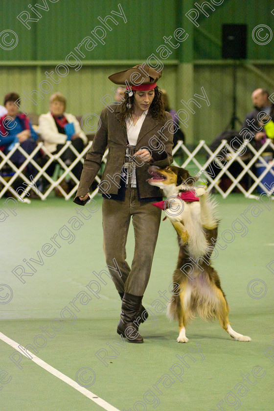 IMG 6349 
 Keywords: 2008, K9 Freestyle, Rugby DTC, canine freestyle, competition, connexions leisure centre, coventry, dancing dogs, february, heelwork to music, k9freestylegb, ryton on dunsmore