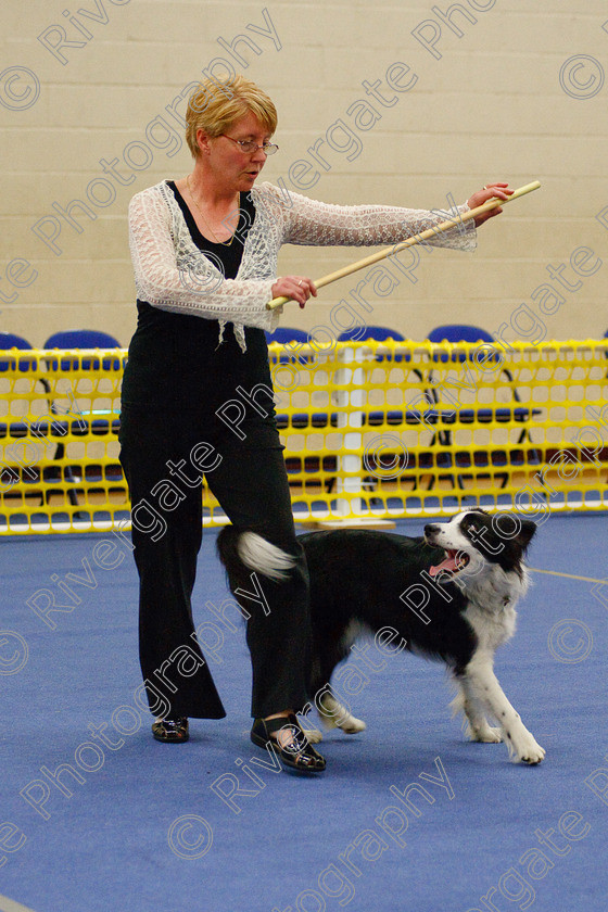 AWC 6483 
 Keywords: 2009, Barnard Castle, County Durham, DL12 8DS, Judges: Jackie Clarke, May, Northern Mutts N Music, Royal Canin, Starters Freestyle, Strathmore Road, Teesdale Sports Centre, canine freestyle, competition, heelwork to music