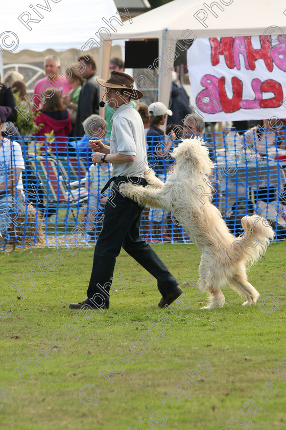 AWC 7023 
 Keywords: 2010, Chobham, Millbrook Animal Centre, RSPCA, Richard Curtis, arena demonstration, september