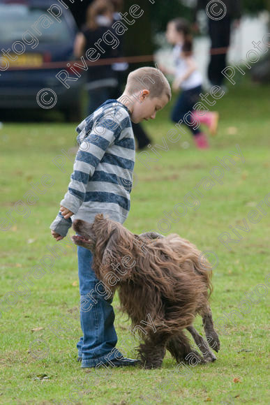 IMG 1194 
 Earls Barton Carnival, Richard Curtis arena display performance and demonstration 
 Keywords: child, kid, boy, working dog dog, disco, portuguese water dog, heelwork, working, display, green grass, demonstration, crowd,