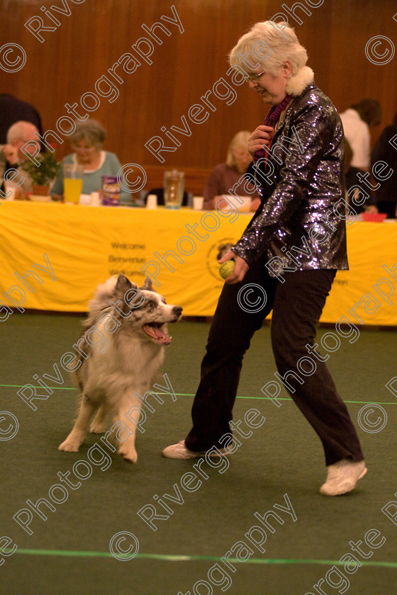 AWC 1736 
 Keywords: 2010, april, competition, frances cobb, heelwork to music, starters heelwork to music part 2, west glen