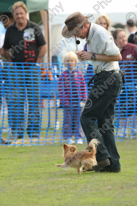 AWC 7050 
 Keywords: 2010, Chobham, Millbrook Animal Centre, RSPCA, Richard Curtis, arena demonstration, september