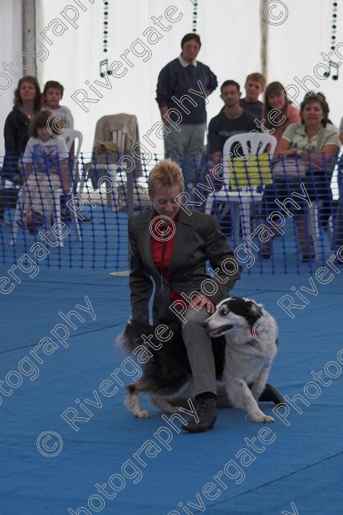 IMG 0011-01 
 Paws in the Park, 2005 MDS Shows Ltd Canford Park Arena, Poole, Dorset. 
 Keywords: 2005, Display, Paws in the Park, arena demonstration, dogs, richard curtis, september