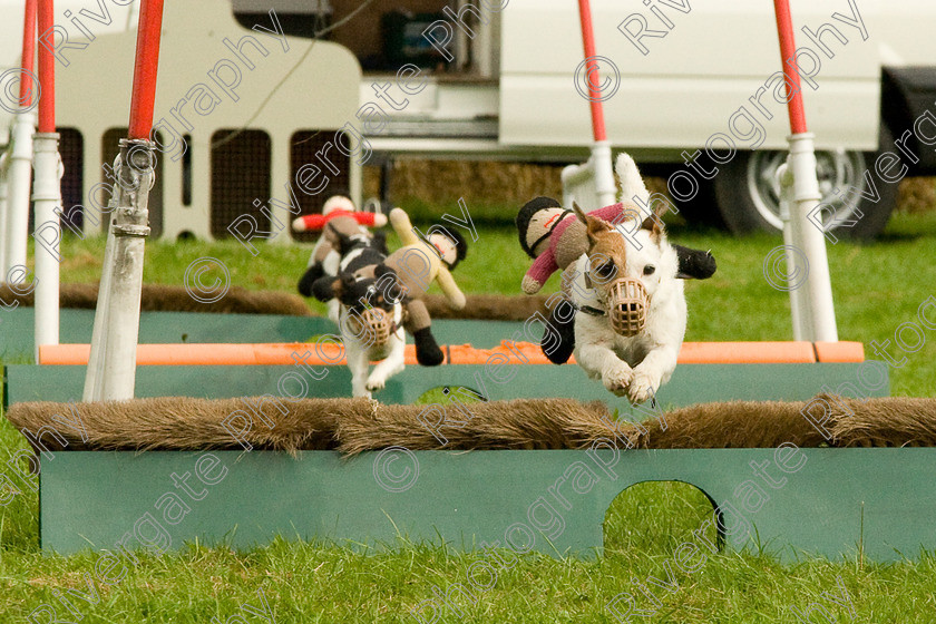 AWC 1862 
 Keywords: England, Lynch Field, UK, Wanborough, Wiltshire, arena demonstration, arena display, cyril the squirrel, terrier racing, wanborough country show