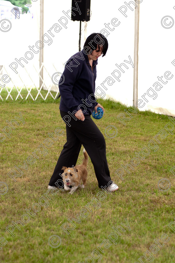 AWC 8993 
 Keywords: 2009, England, June, MDS Ltd, Paws in the Park, UK, broadlands, hampshire, heelwork to music competition, paws n music, romsey