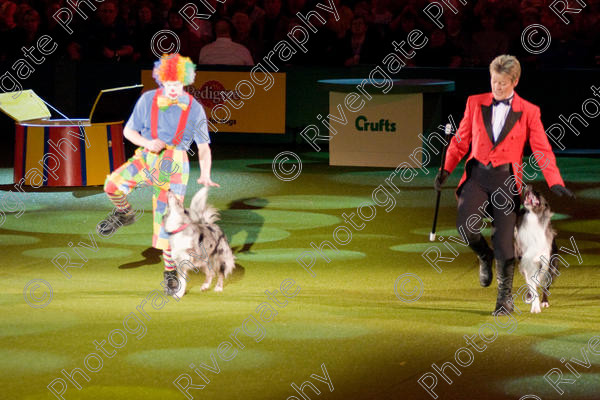 IMG 8240 
 Keywords: 2008, Arena, Display, NEC, birmingham, canine freestyle, crufts, dancing, dogs, heelwork to music, htm, march, performance