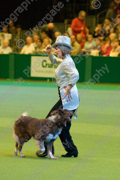 IMG 7569 
 Keywords: 2008, Arena, Display, NEC, birmingham, canine freestyle, crufts, dancing, dogs, heelwork to music, htm, march, performance