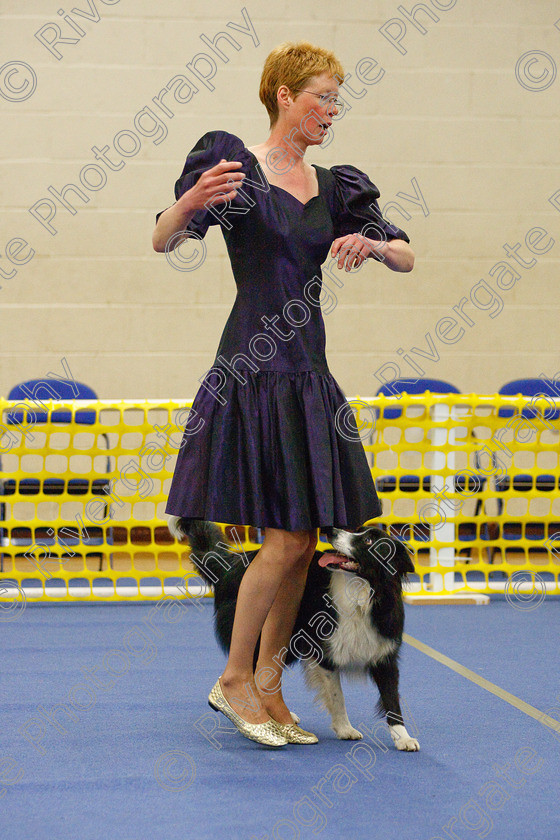 AWC 6128 
 Keywords: 2009, Advanced Heelwork to Music, Barnard Castle, Cathy Bates, County Durham, Crufts Semi-final Qualifier, DL12 8DS, May, Northern Mutts N Music, Royal Canin, Rusnsol Ruby, Strathmore Road, Teesdale Sports Centre, canine freestyle, competition, heelwork to music, working sheepdog