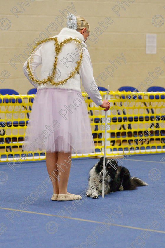 AWC 6829 
 Keywords: 2009, Ann Derizzio, Barnard Castle, Ceri Cariad, Class 6b, County Durham, DL12 8DS, Heather Smith, Judges: Cathy Bates, May, Northern Mutts N Music, Royal Canin, Strathmore Road, Teesdale Sports Centre, canine freestyle, competition, heelwork to music, margaret booth, working sheepdog