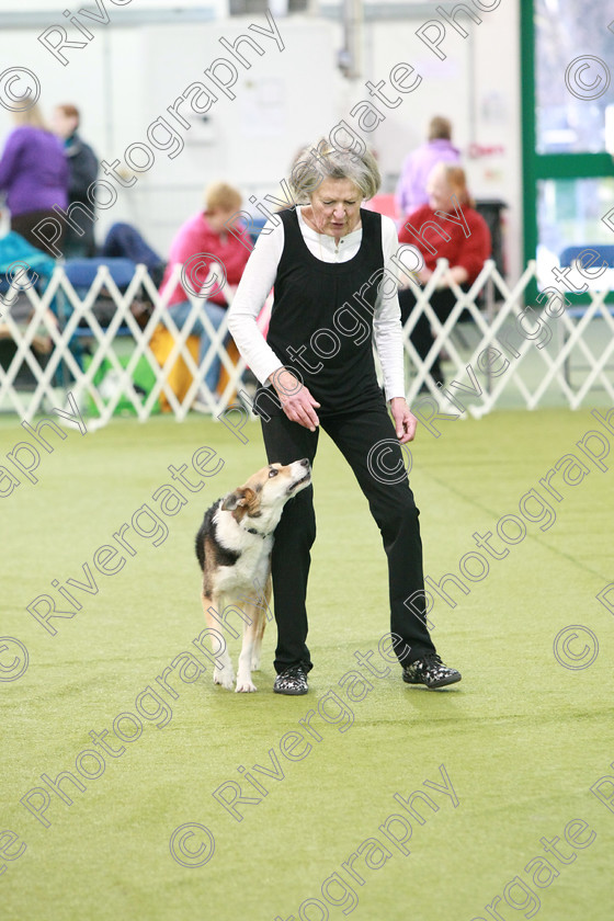 AWC 0222 
 Keywords: heelwork to music competition, rugby dog club