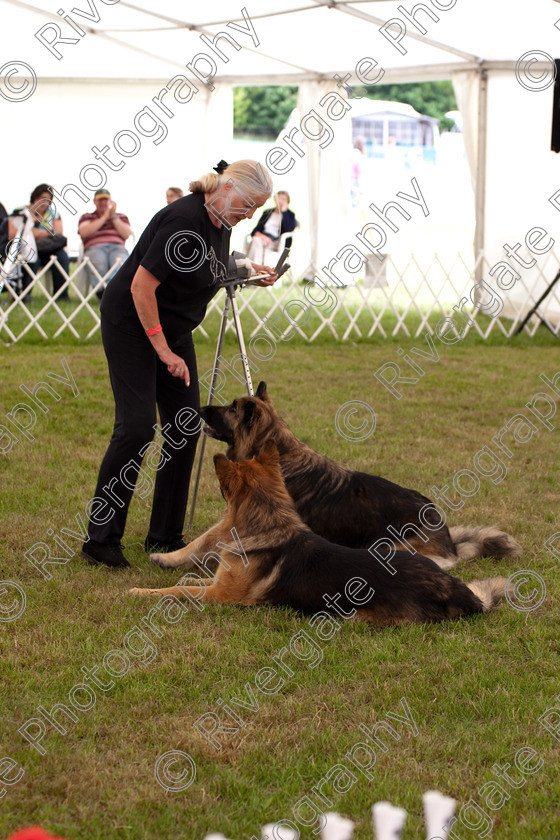 AWC 8982 
 Keywords: 2009, England, June, MDS Ltd, Paws in the Park, UK, broadlands, hampshire, heelwork to music competition, paws n music, romsey