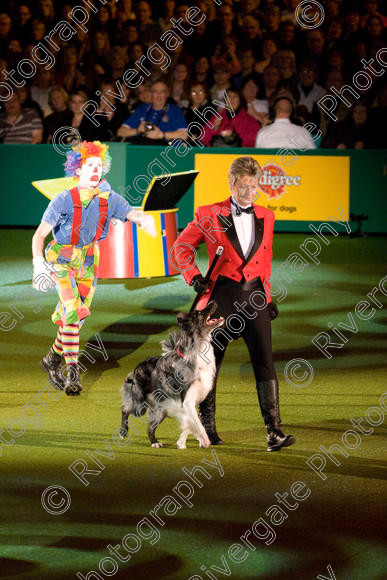 IMG 8203 
 Keywords: 2008, Arena, Display, NEC, birmingham, canine freestyle, crufts, dancing, dogs, heelwork to music, htm, march, performance