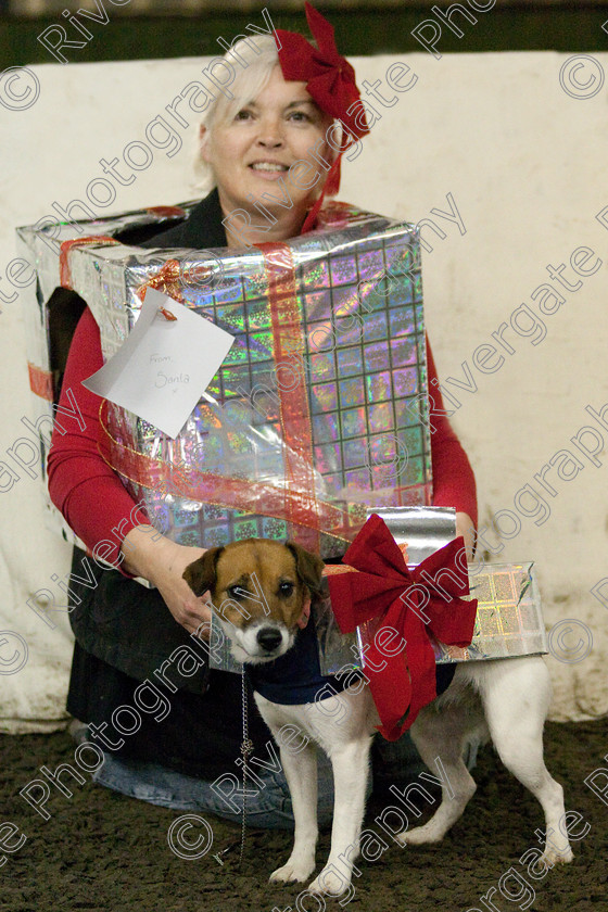 AWC 8147-Edit 
 Keywords: 2009, Fancy Dress, Xmas Party, december, dogs, wellow agility club