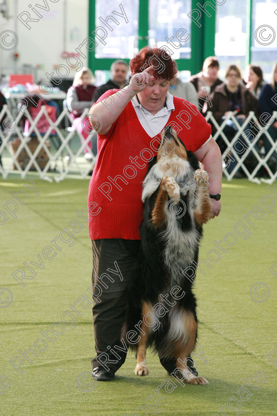 AWC 0568 
 Keywords: heelwork to music competition, rugby dog club