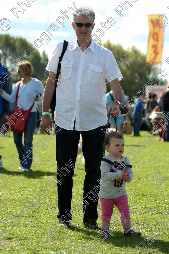 AWC 7301 
 Keywords: 2010, Kent, MDS Shows Ltd, Paws in the Park, arena demonstrations, man, paddock wood, reins, toddler