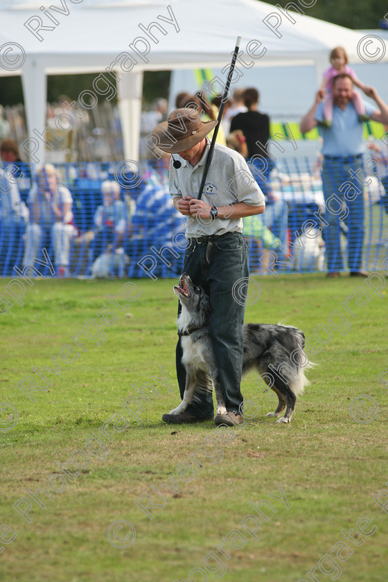 AWC 6940 
 Keywords: 2010, Chobham, Millbrook Animal Centre, RSPCA, Richard Curtis, arena demonstration, september